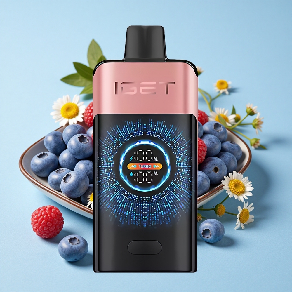 IGET ONE 12000 Pufuri Vape Disposable Afine Zmeura Romania vape wholesale 2700 mAh
