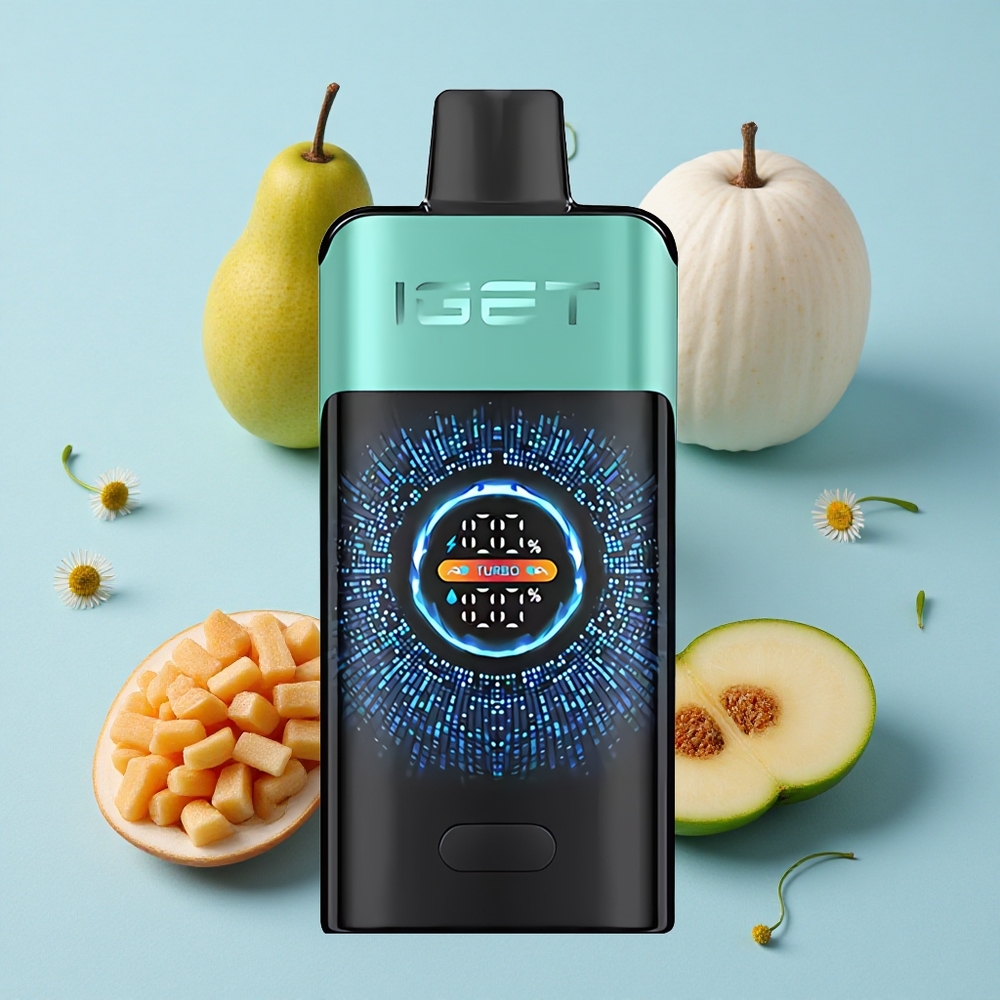 IGET ONE 12000 Pufuri Vape Dispozabil Izvor de Munte Mentă Gheață Romania vape wholesale 2700 mAh Ecran Color Curbat Mare