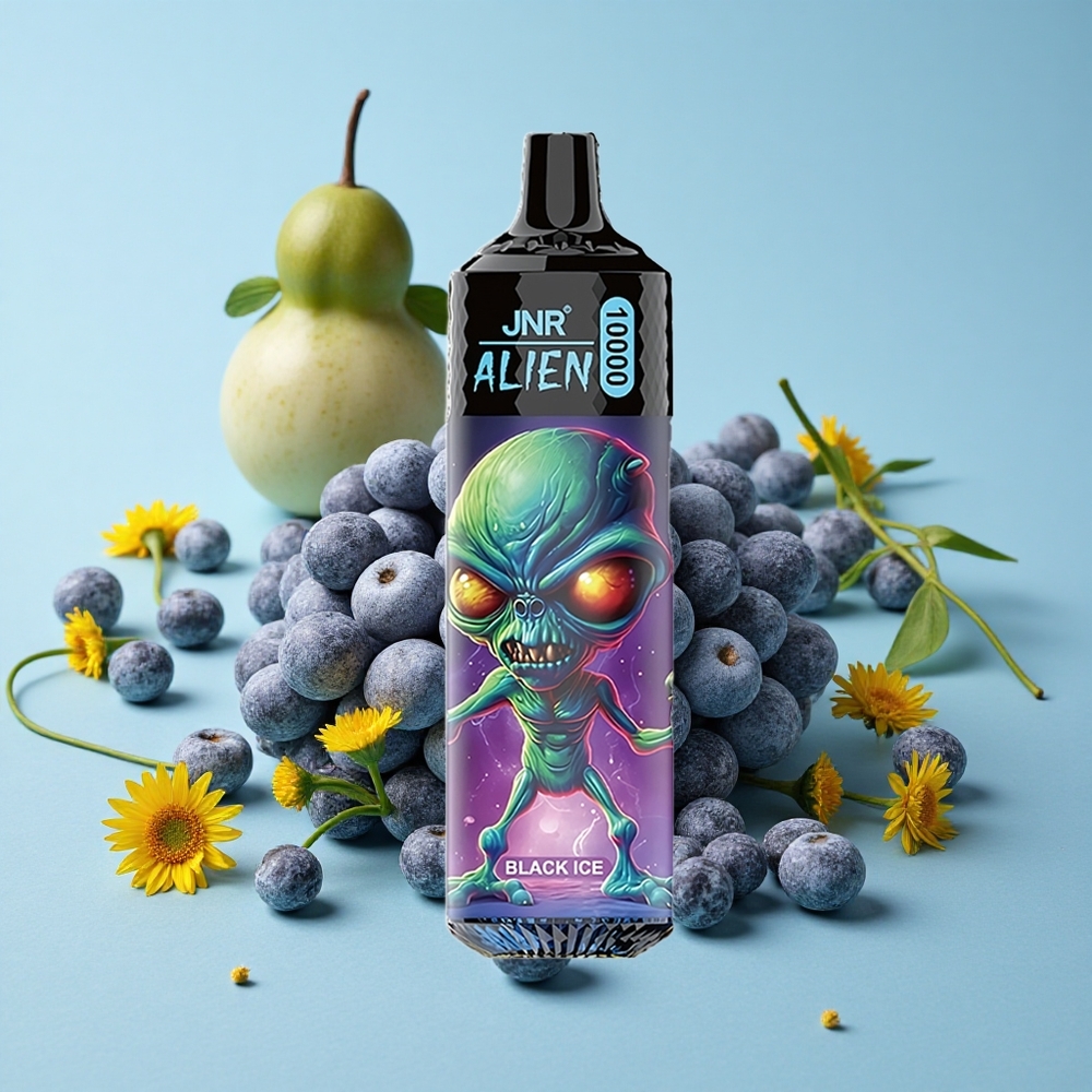 JNR Alien 10000 Pufuri Gheață Neagră Romania vape wholesale cu LED (RGB) și Încărcare Rapidă Type-C