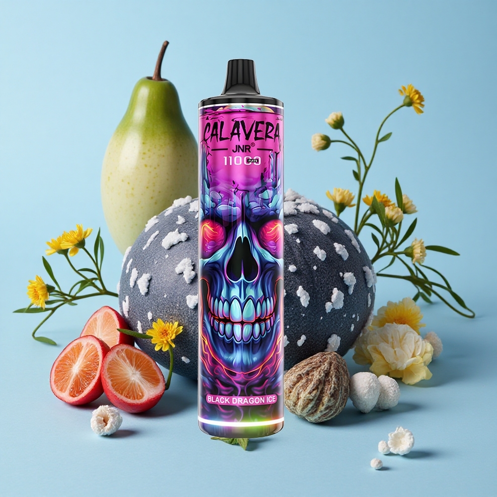 JNR Calavera 11000 Pufuri Disposable Vape Dragon Negru Gheata Romania vape wholesale Port Type-C 21ml Capacitate Lichid
