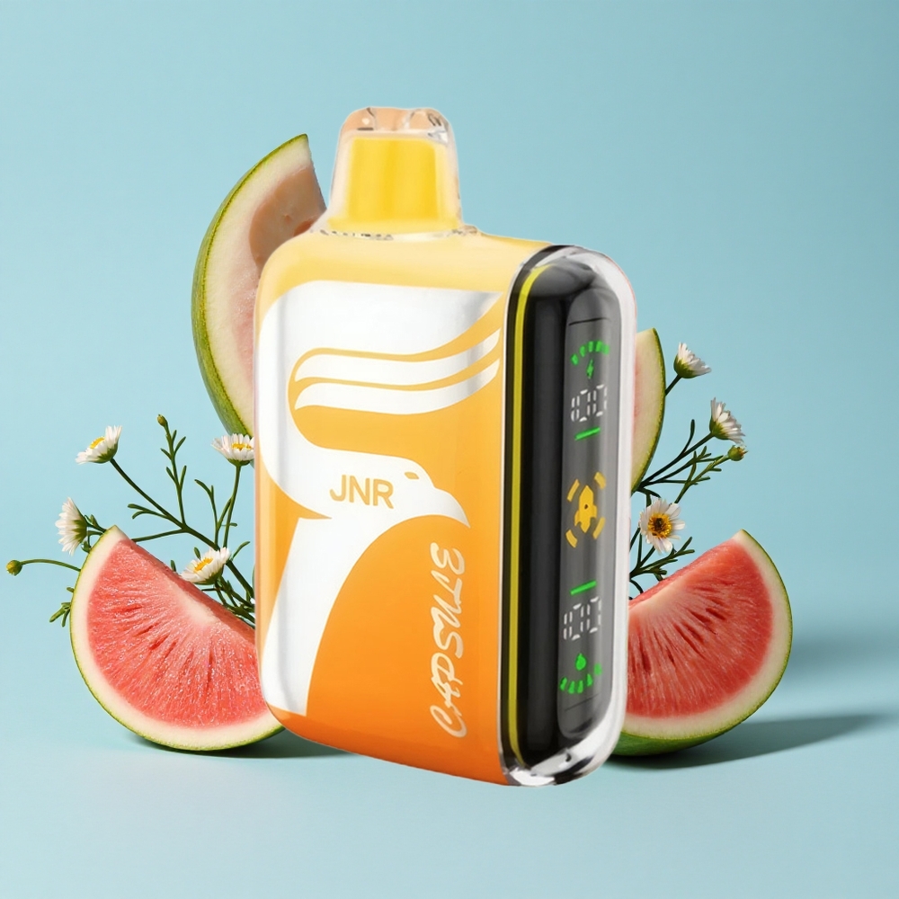 JNR Capsule 15000 Pufuri Pepene Irchee Romania vape wholesale cu 20ml E-lichid și Încărcare Rapidă Type-C
