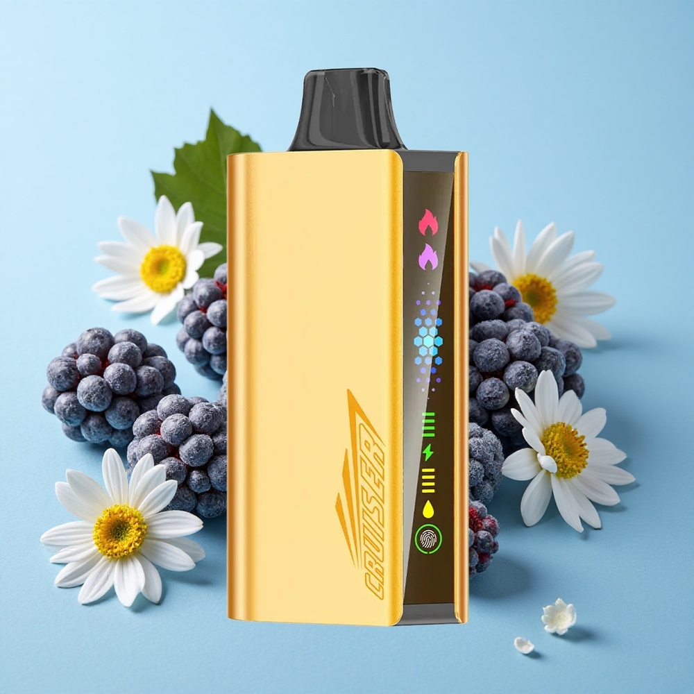 JNR Cruiser 12000 Pufuri Blackberry Ice Romania vape wholesale Cu Ecran Animat și Corp Metalic Integral