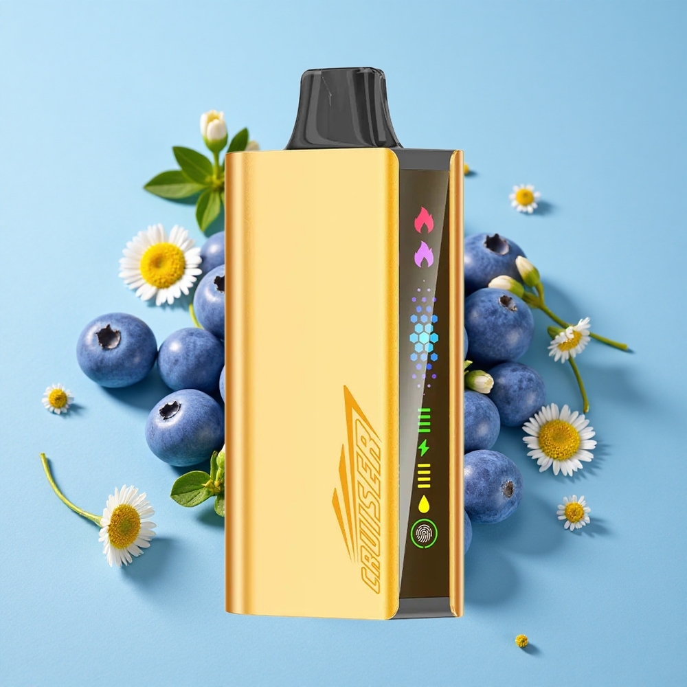 JNR Cruiser 12000 Pufuri Explozie de Afine Romania vape wholesale No-Charge Disposable Vape Corp Metalic Integral