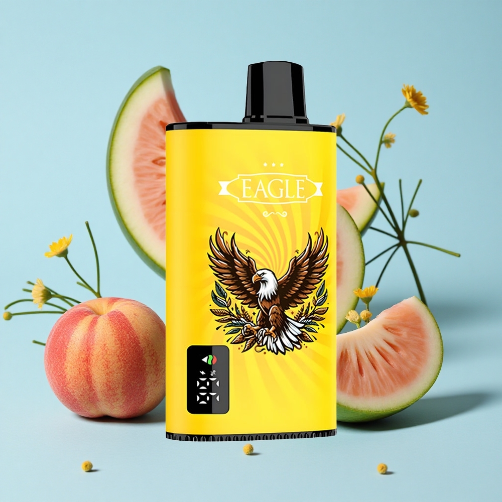 JNR EAGLE Smart 23000 Pufuri Disposable Vape piersică mango pepene verde Romania vape wholesale Ecran digital 10ohm Mesh Coil