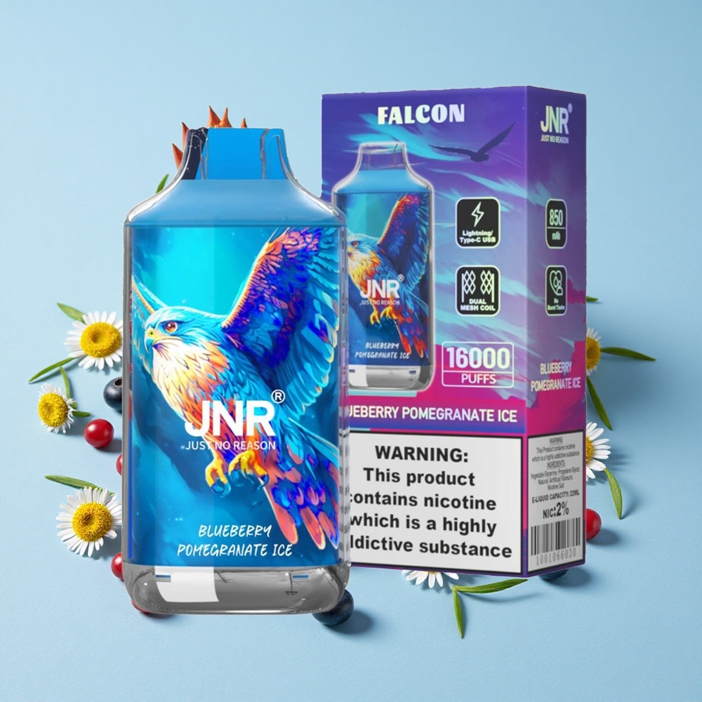 JNR Falcon 16000 Pufuri Afine Rodie Gheață Romania vape wholesale Dual Mesh Coil LED Display