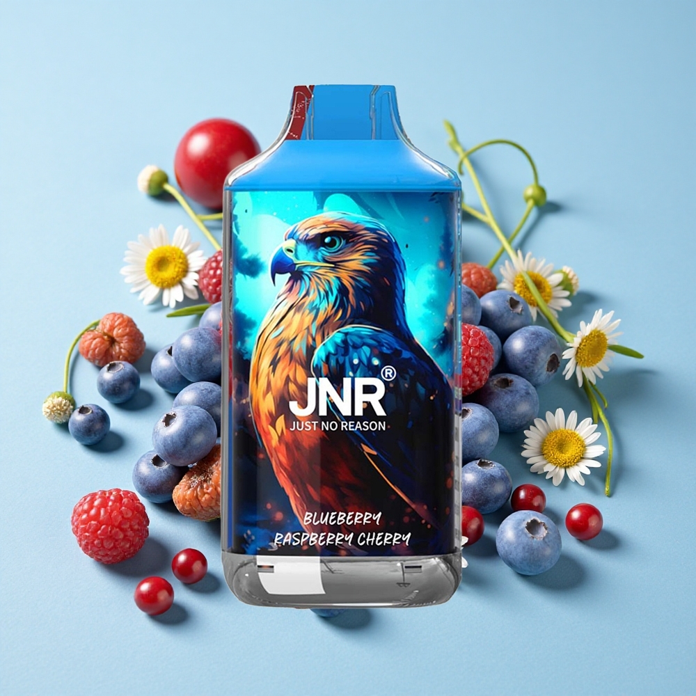JNR Falcon 16000 Pufuri Afine Zmeură Cireș Romania vape wholesale 22ml Dual Mesh Coil