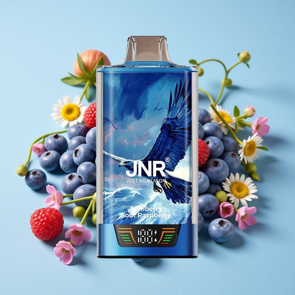 JNR Falcon Pro 28000 Afumare Dispozabilă Zmeură Acră și Afină Romania vape wholesale 30ml Pre-umplut