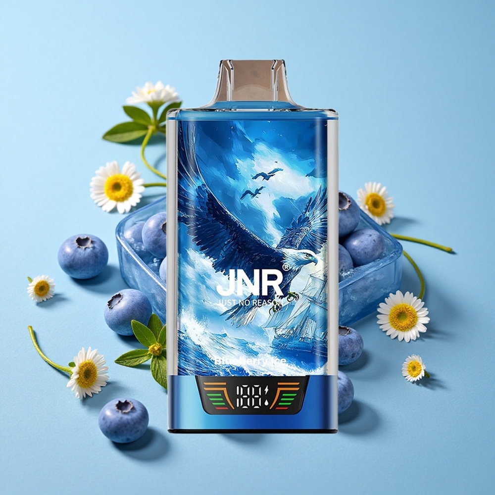JNR Falcon Pro 28000 Pufuri Afine Înghețate Romania vape wholesale 30ml Pre-Umplut