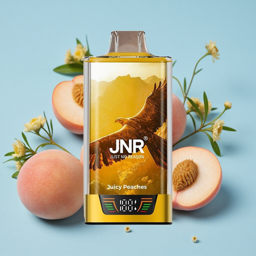 JNR Falcon Pro 28000 Pufuri Piersici Juicy Romania vape wholesale 30ml Capacitate Pre-umplută Dual Mesh Coil