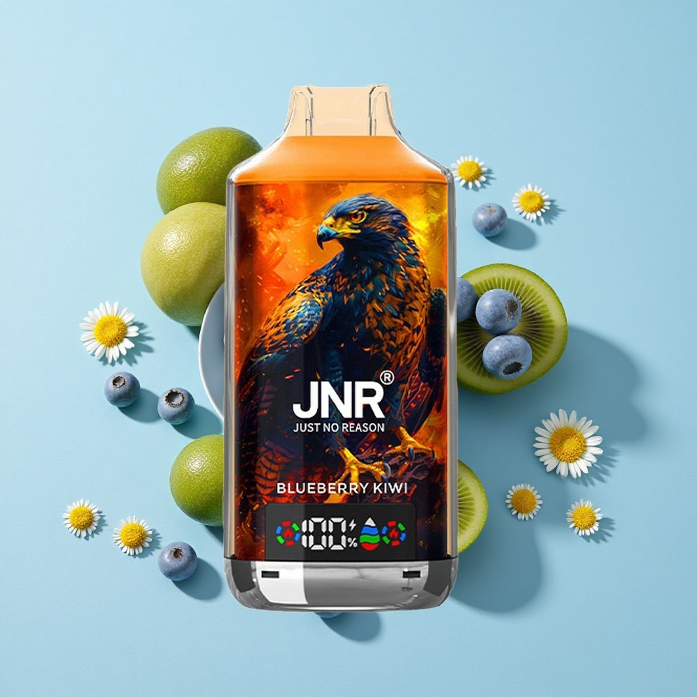 JNR Falcon X 18000 Pufuri Afine Kiwi Romania vape wholesale Baterie 750mAh Încărcare Rapidă Type-C