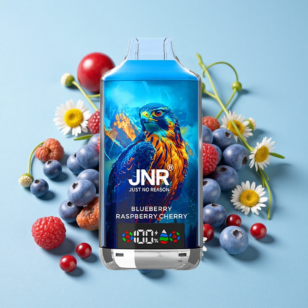 JNR Falcon X 18000 Pufuri Afine Zmeură Cireș Romania vape wholesale Dual Mesh Coil  Dual Core