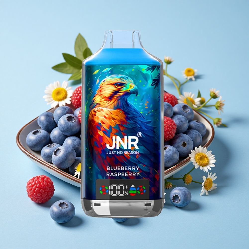 JNR Falcon X 18000 Pufuri Afine Zmeură Romania vape wholesale Dual Mesh Coil  Dual Core