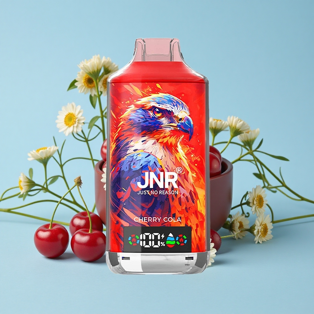 JNR Falcon X 18000 Pufuri Cireș Romania vape wholesale Dual Mesh Coil  Dual Core
