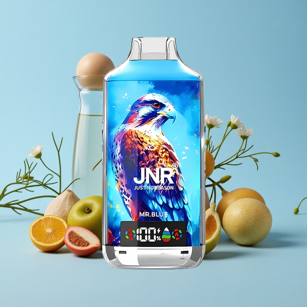 JNR Falcon X 18000 Pufuri Domnul Albastru Romania vape wholesale Dual Mesh Coil  Dual Core