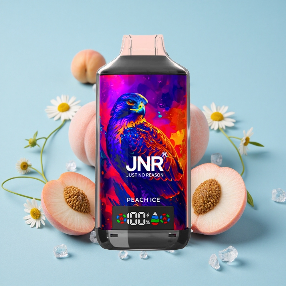 JNR Falcon X 18000 Pufuri Gheață de piersici Romania vape wholesale Dual Mesh Coil