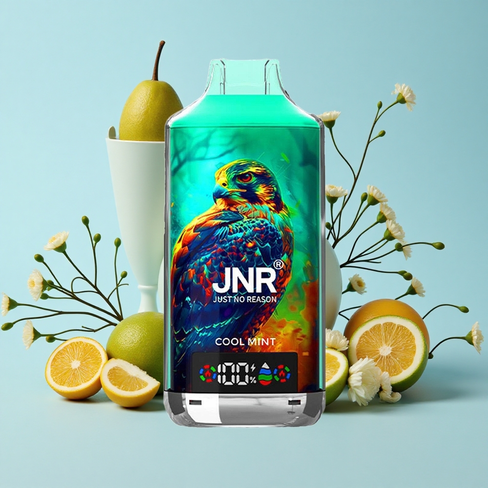 JNR Falcon X 18000 Pufuri Mentă Răcoritoare Romania vape wholesale 24ml Dual Mesh Coil