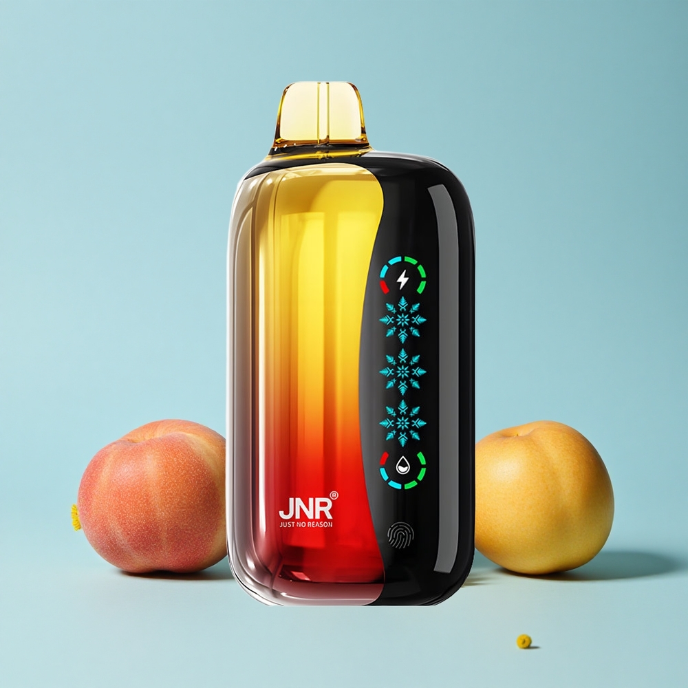 JNR Flex Ice 21000 Pufuri Disposable Vape Piersic Mango Ananas Romania vape wholesale Gheață Reglabilă Tip-C