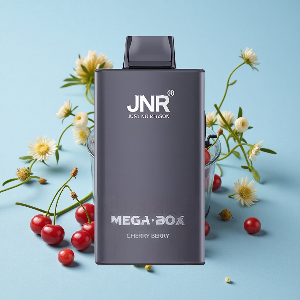 JNR Mega Box 25000 Pufuri Disposable Vape Ciresă și Berry Romania vape wholesale Dual Mesh Coil