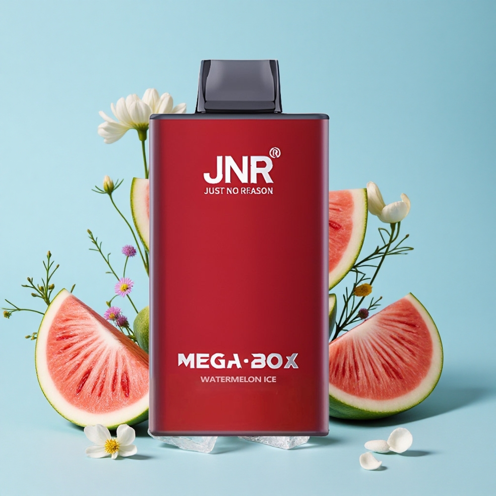 JNR Mega Box 25000 Pufuri Disposable Vape Pepene Gheata Romania vape wholesale Dual Mesh Coil  Dual Core