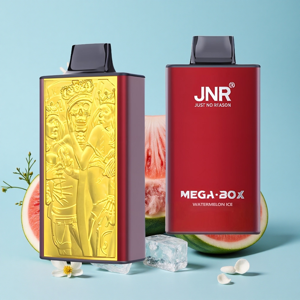 JNR Mega Box 25000 Pufuri Disposable Vape Pepene Gheata Romania vape wholesale Dual Mesh Coil  Dual Core