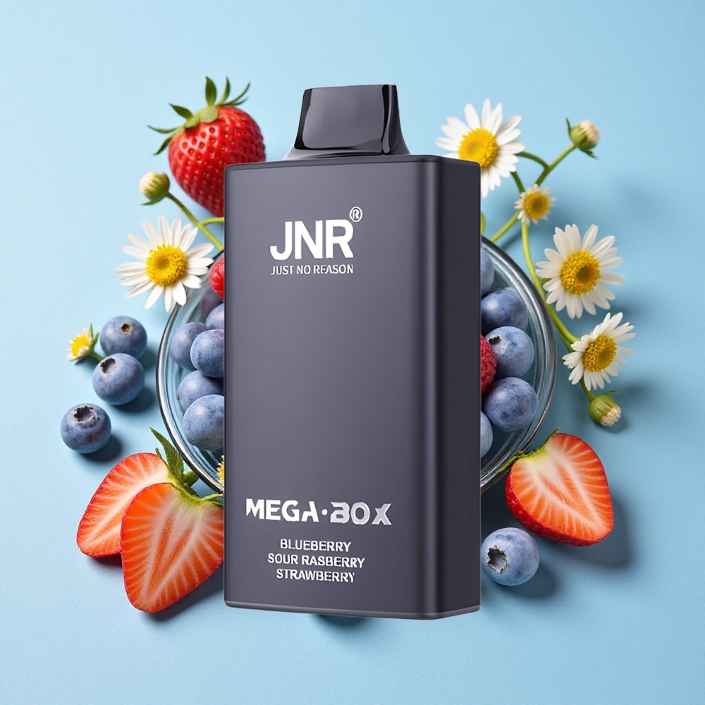 JNR Mega Box 25000 de Pufuri Afine acrisoară Zmeură Romania vape wholesale Dual Mesh Coil