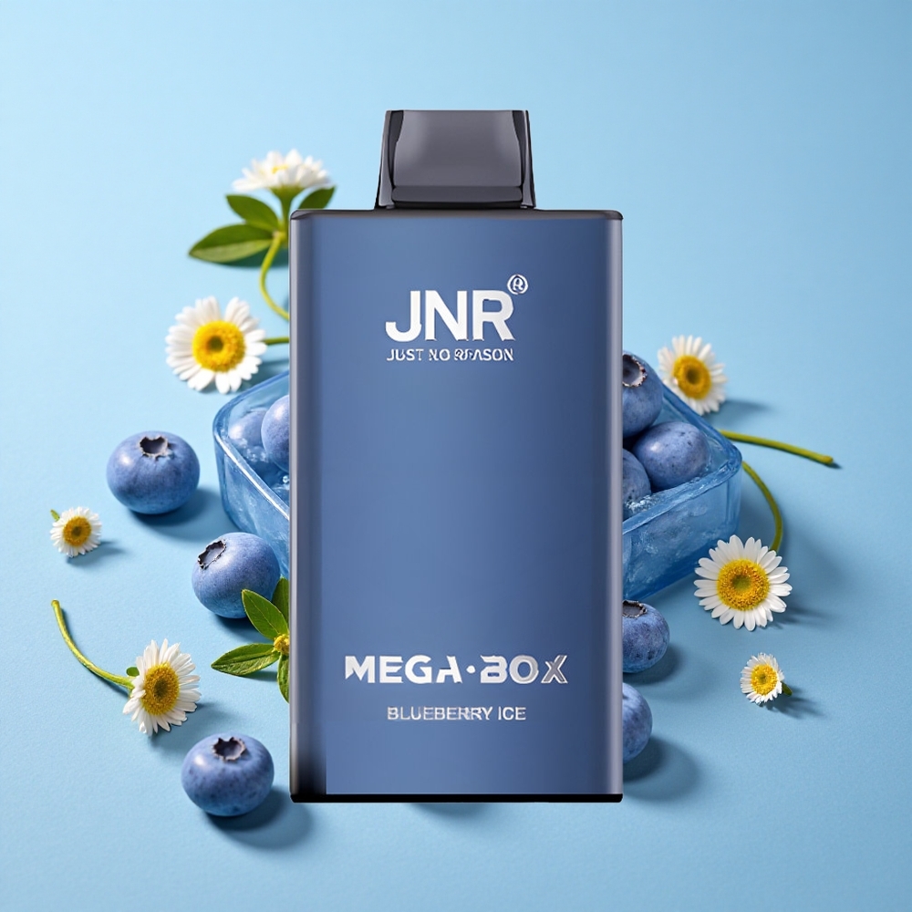 JNR Mega Box 25000 de Pufuri Afine Înghețată Romania vape wholesale 30ml E-lichid