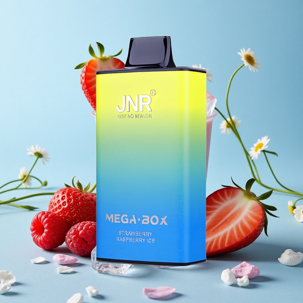 JNR Mega Box 25000 de Pufuri Capsuni Zmeura Gheață Romania vape wholesale Dual Mesh Coil