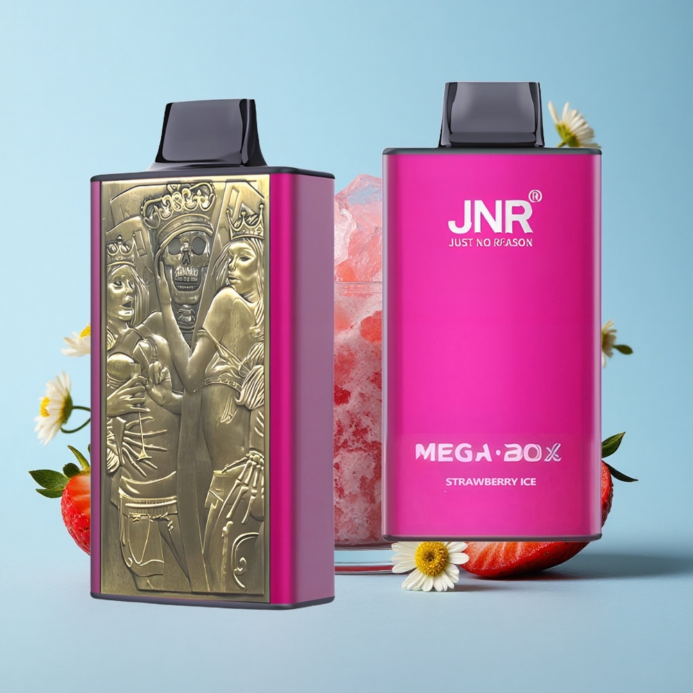 JNR Mega Box 25000 de Pufuri Capsuni Înghețate Romania vape wholesale Dual Mesh Coil