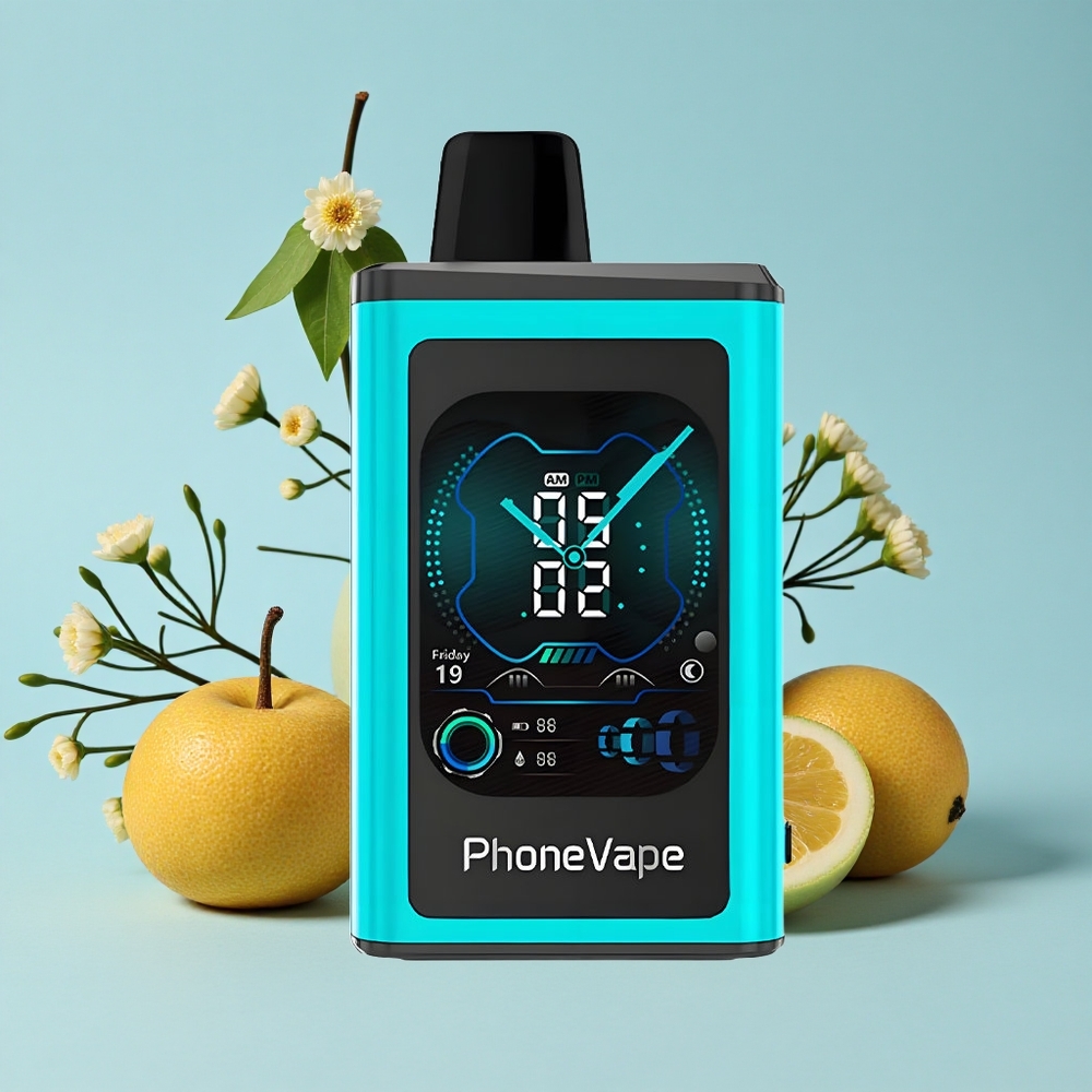 JNR PhoneVape 30000 de Pufuri Disposable Vape Mentă Miami Romania vape wholesale Baterie 850mAh Reîncărcabilă Tip-C