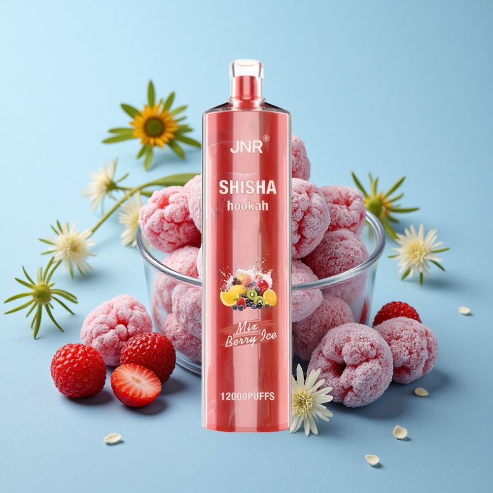 JNR Shisha Hookah 12000 Pufuri Afine Gheață Romania vape wholesale 24ml 750mAh