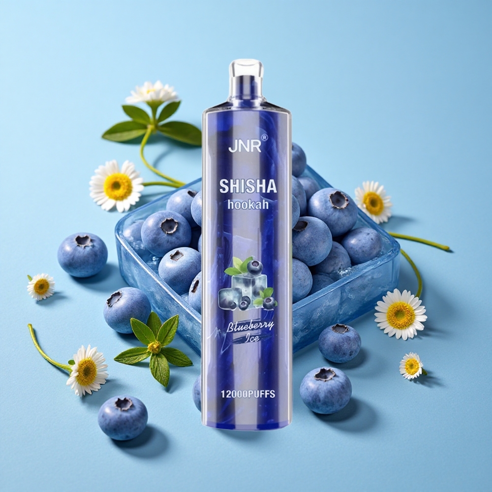 JNR Shisha Hookah 12000 Pufuri Afine Înghețată Romania vape wholesale 24ml/750mAh