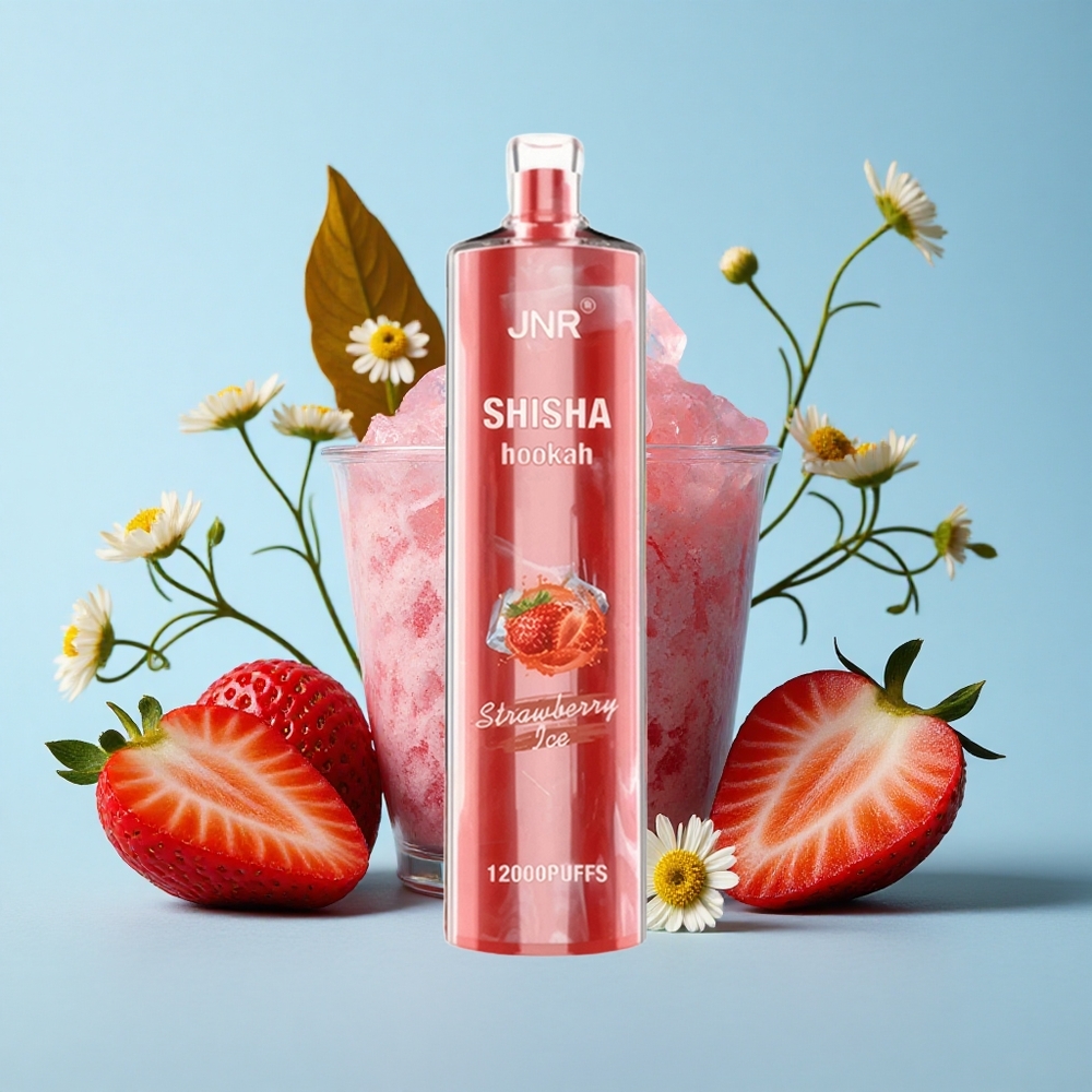 JNR Shisha Hookah 12000 Pufuri Capsuni Gheață Romania vape wholesale 24ml E-Lichid 750mAh Baterie