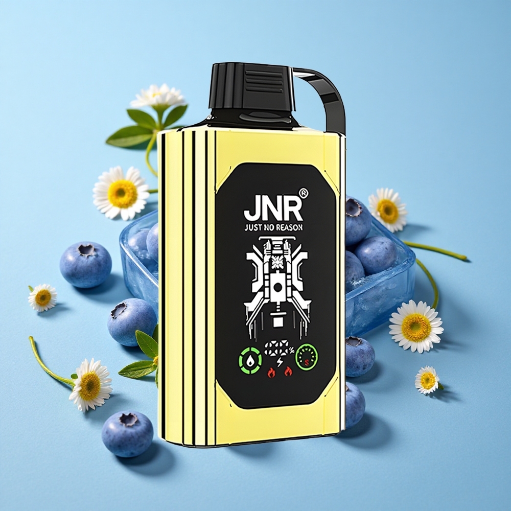 JNR Shisha Hookah Box 20500 Pufuri Disposable Vape Afine Gheață Romania vape wholesale Display HD Baterie 1000mAh
