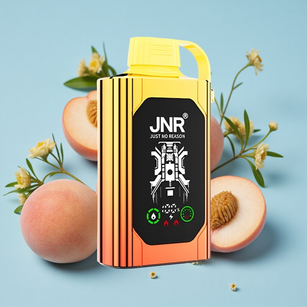 JNR Shisha Hookah Box 20500 Pufuri Disposable Vape Piersici Juicy Romania vape wholesale Afișaj HD Dual Mesh Coil