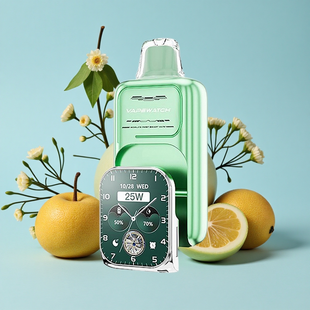 JNR Vape Watch 30000 Pufuri Aromă Mentă Miami Romania vape wholesale Dual Mesh Coil